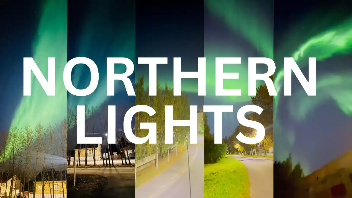 Northern Lights Night