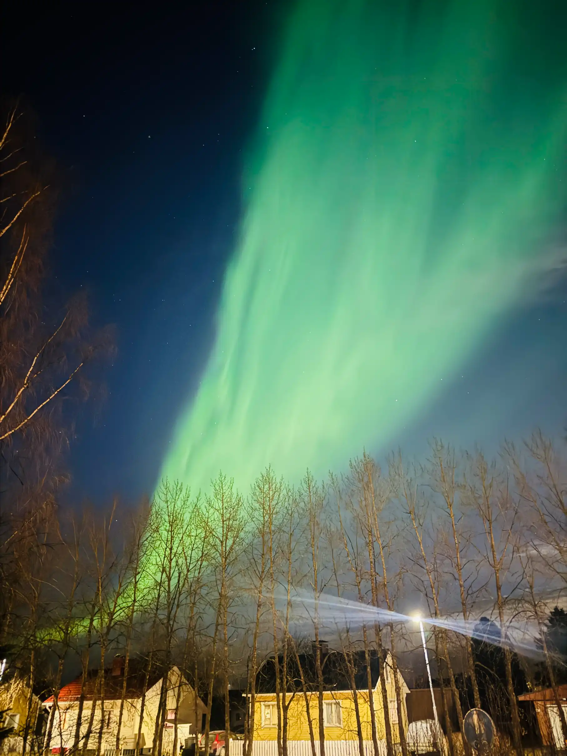 Northern Lights Night 4