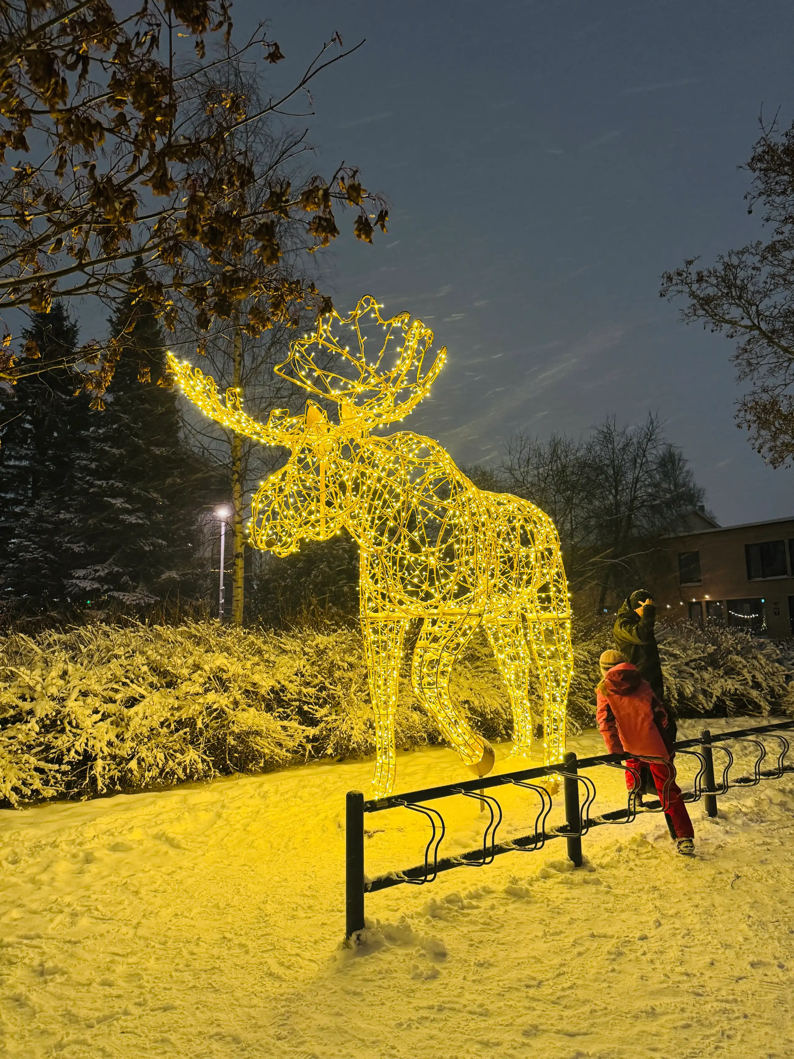 Lumo Light Festival in Oulu 6