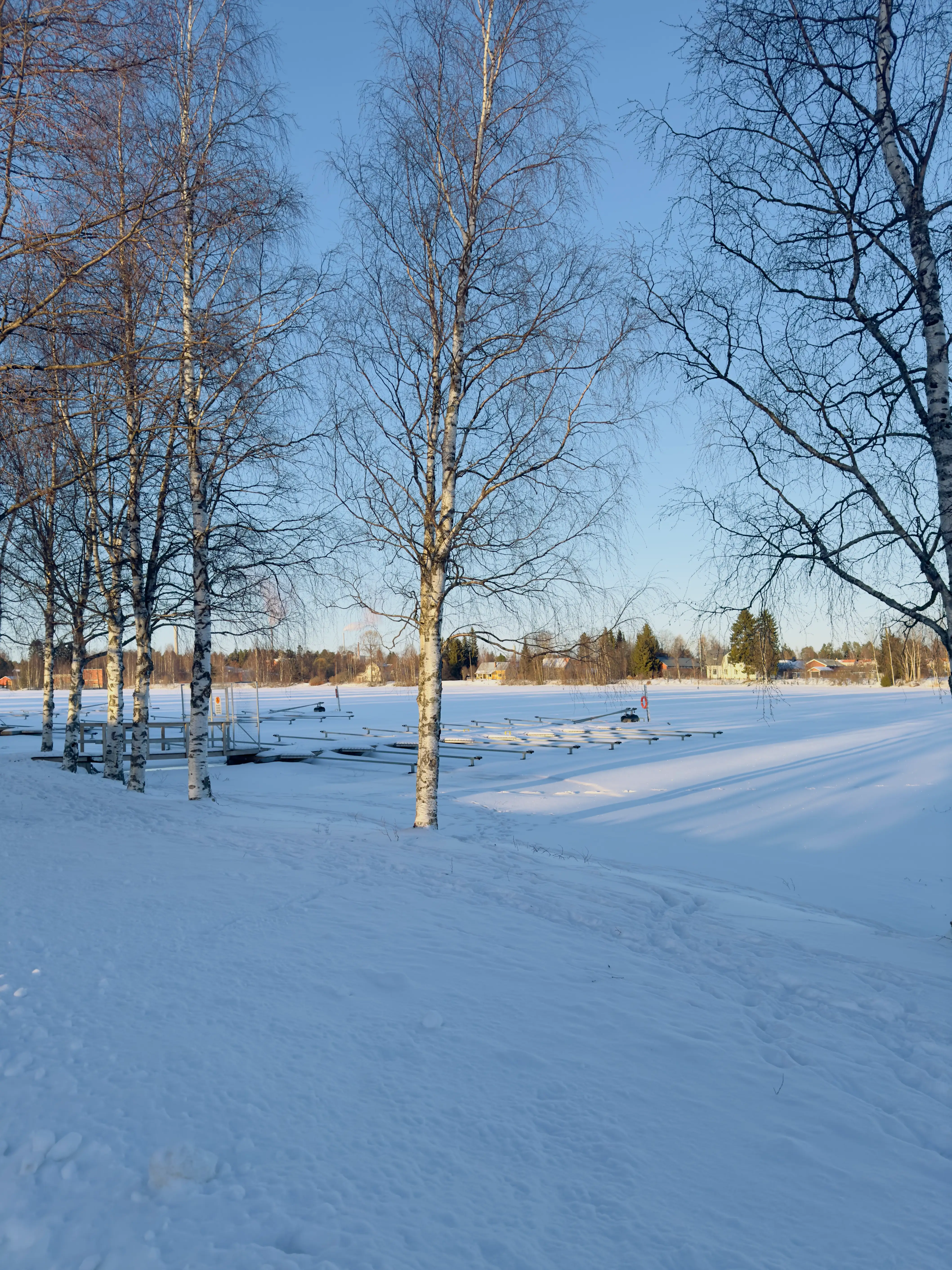 Evening Winter Run in Värttö 1
