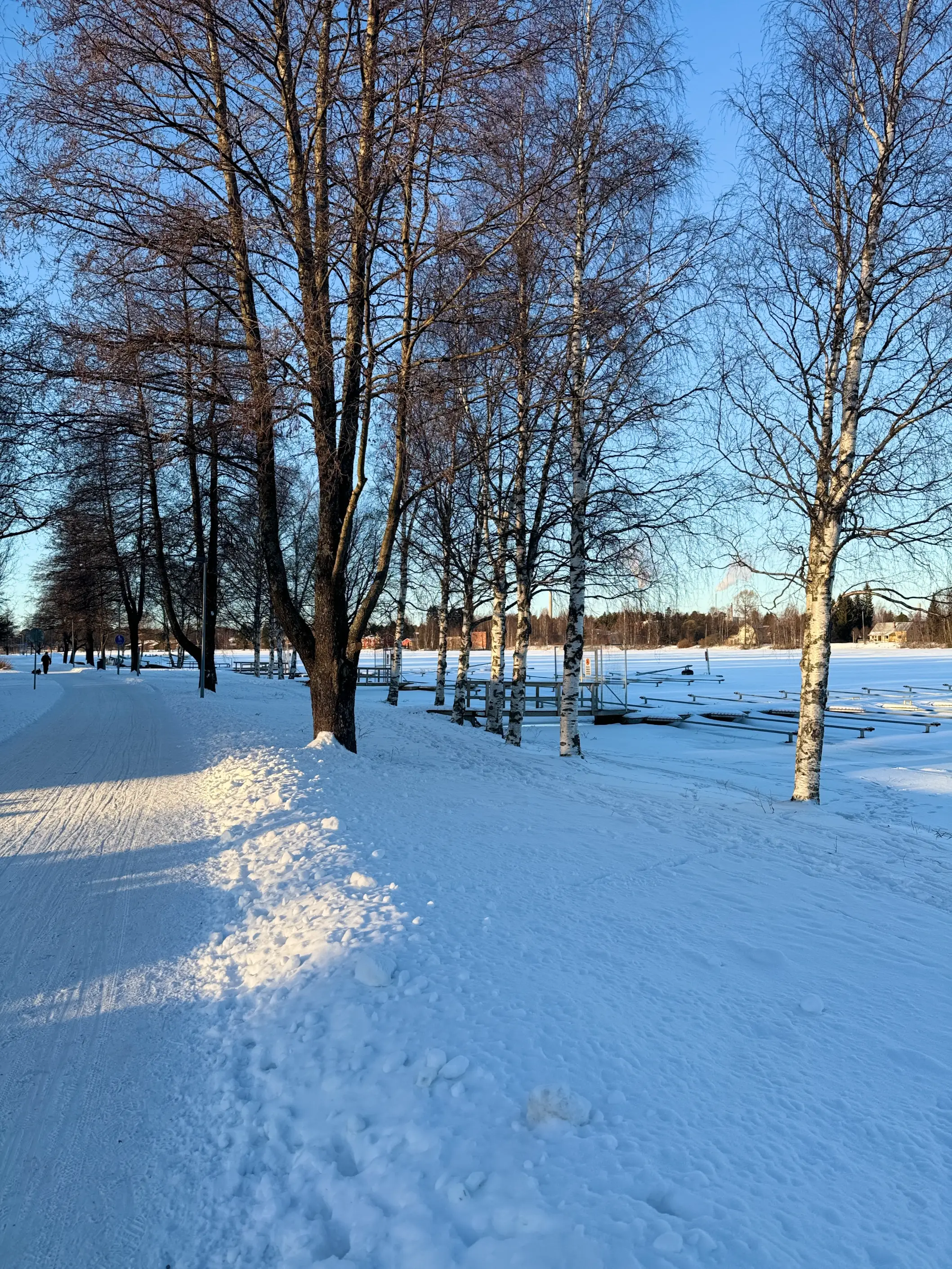 Evening Winter Run in Värttö 2