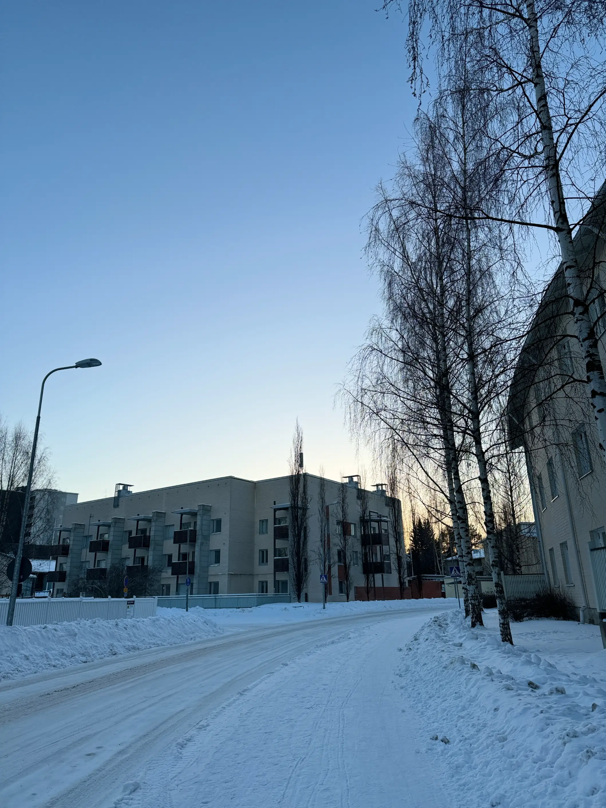 Evening Winter Run in Värttö 4