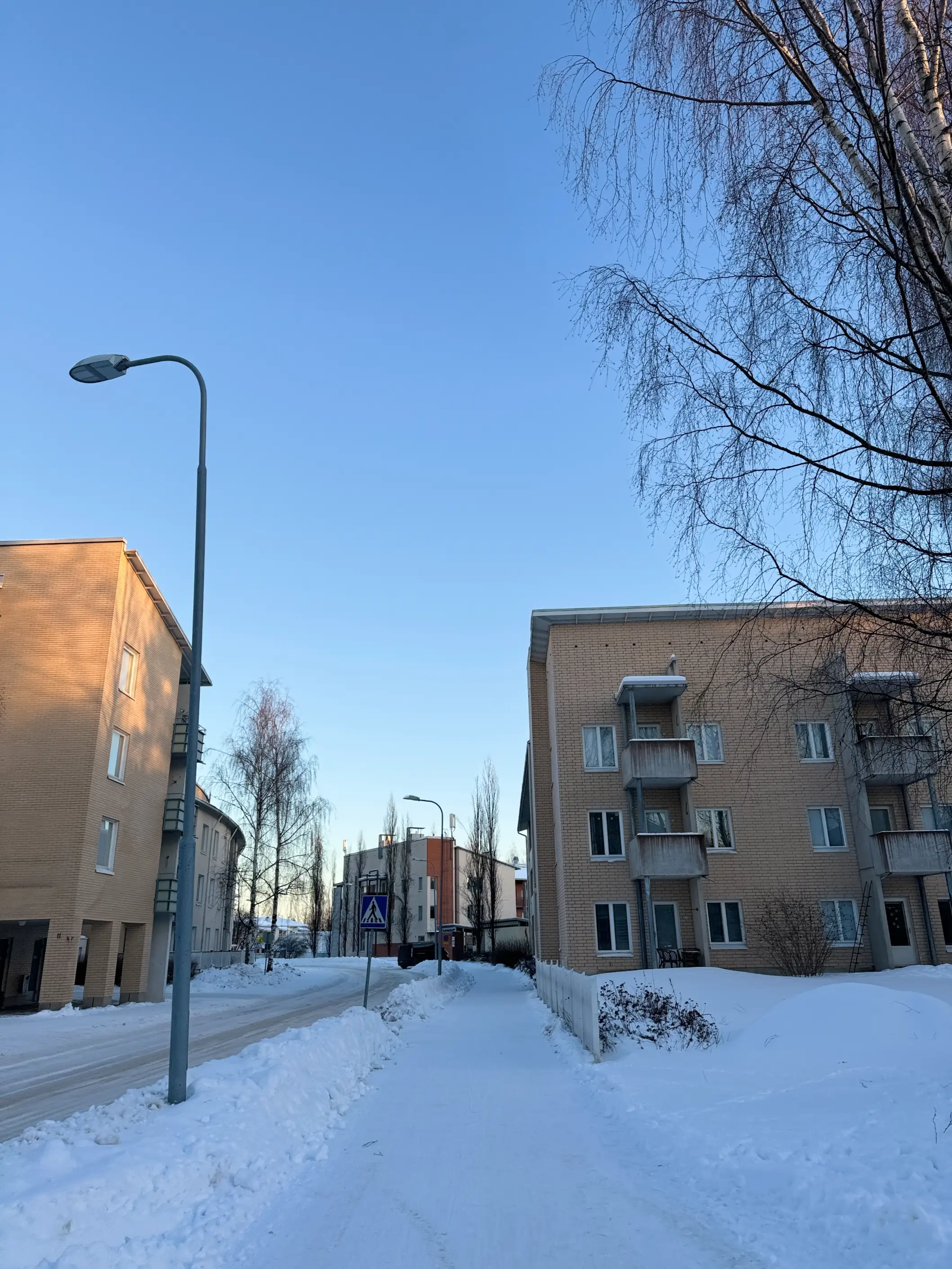 Evening Winter Run in Värttö 5